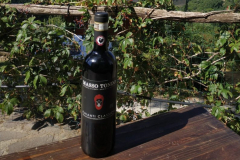 IMG_20200826_104705-scaled