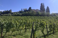 IMG_20200926_111625-scaled